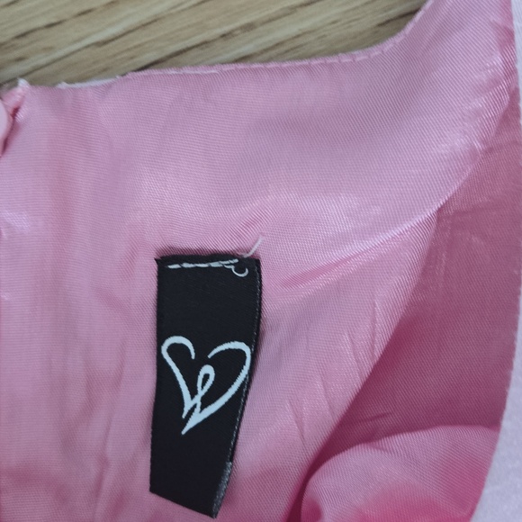 Pink Rose Light Pink Sleeveless Shift Dress Small - Picture 3 of 3